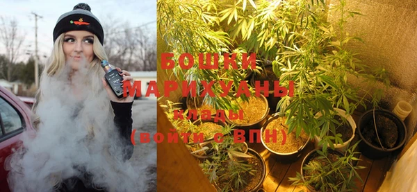 крисы Аркадак