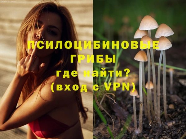 крисы Аркадак
