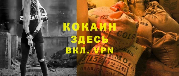 крисы Аркадак