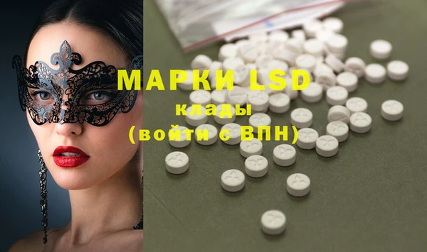 крисы Аркадак